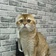 148a0aef-50aa-4357-8d94-7663759e7a38-xxxl (3).webp